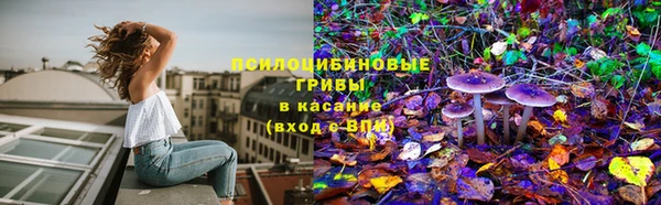 мет Алзамай
