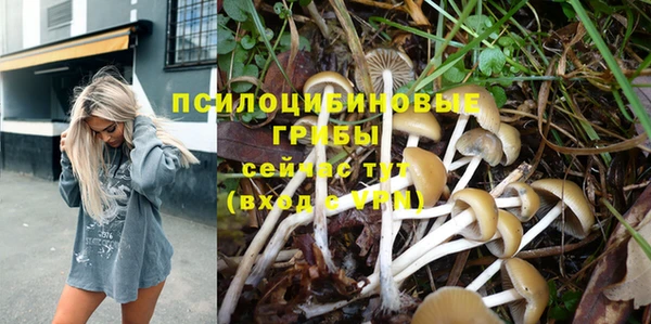 Альфа ПВП Алексин