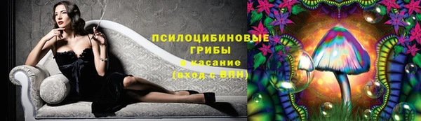 ECSTASY Абаза