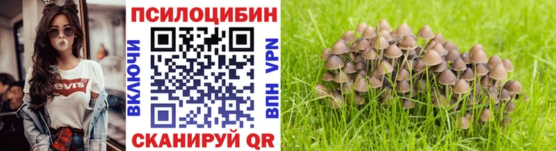 дарнет шоп  Луга  Галлюциногенные грибы MAGIC MUSHROOMS 